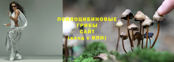 героин Арсеньев