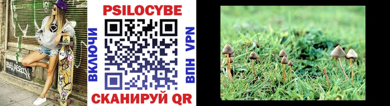 Псилоцибиновые грибы Psilocybine cubensis  Георгиевск 