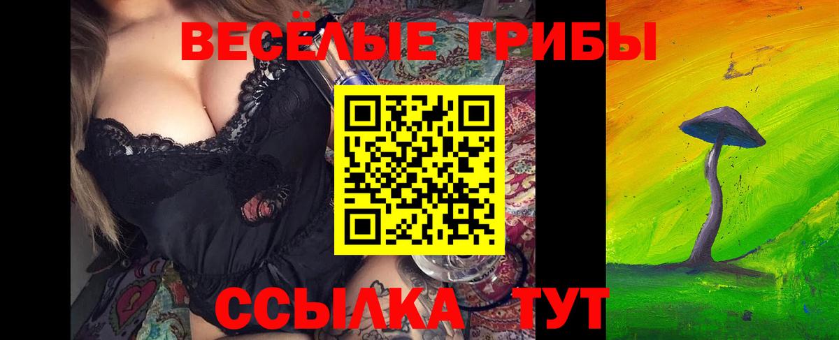 Псилоцибиновые грибы MAGIC MUSHROOMS Георгиевск