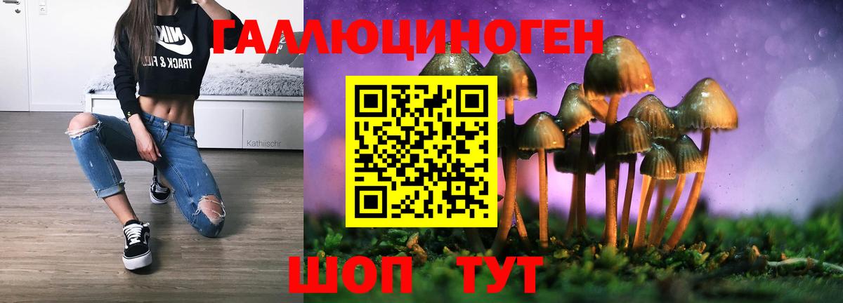 Псилоцибиновые грибы прущие грибы  Вход с VPN  закладка  Георгиевск  Псилоцибиновые грибы мицелий 