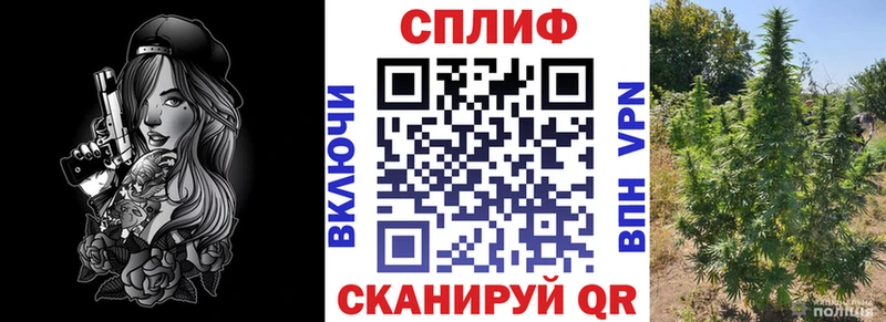 Конопля индика blacksprut ССЫЛКА Георгиевск